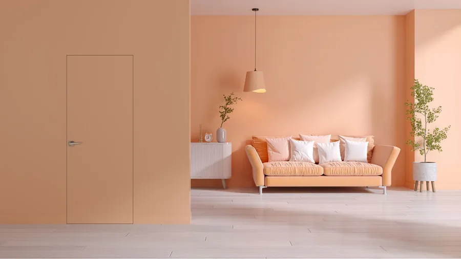 PANTONE® 2024: PEACH FUZZ